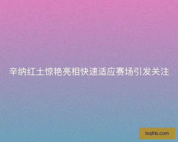 辛纳红土惊艳亮相快速适应赛场引发关注