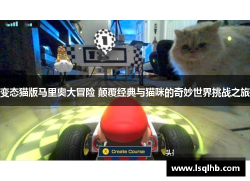 变态猫版马里奥大冒险 颠覆经典与猫咪的奇妙世界挑战之旅